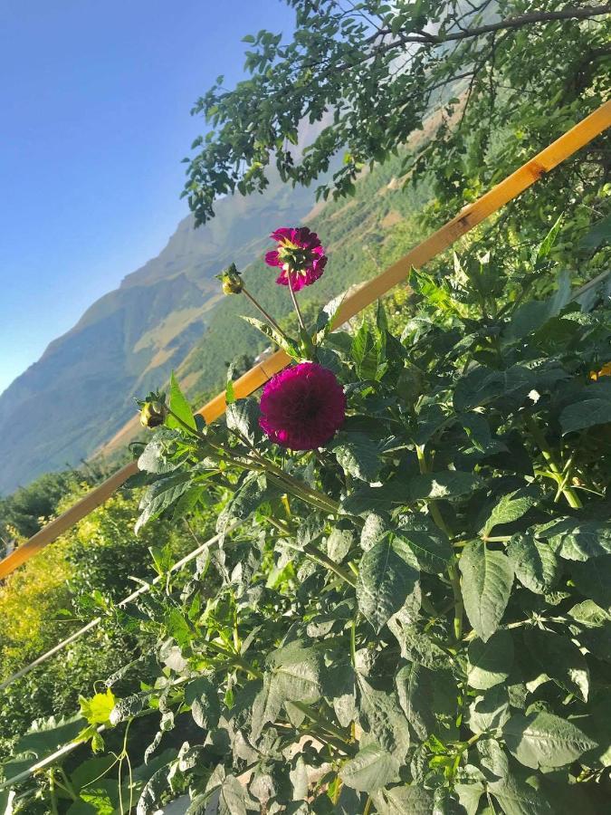 Ana-Maria Bnb Tatev Exterior foto