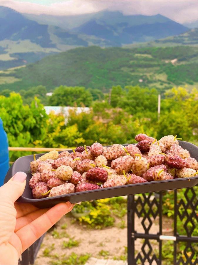 Ana-Maria Bnb Tatev Exterior foto
